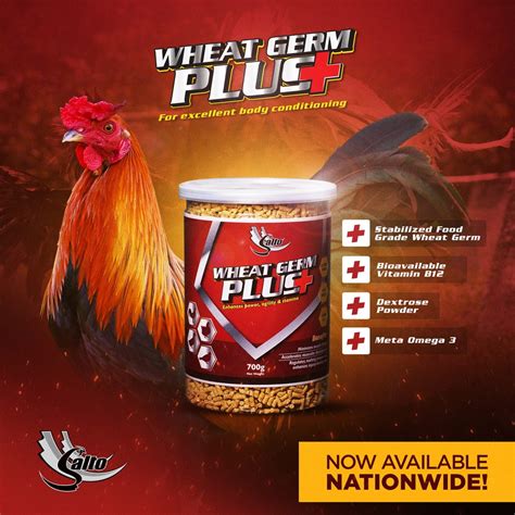 salto wheat germ plus|Dayrise Store .